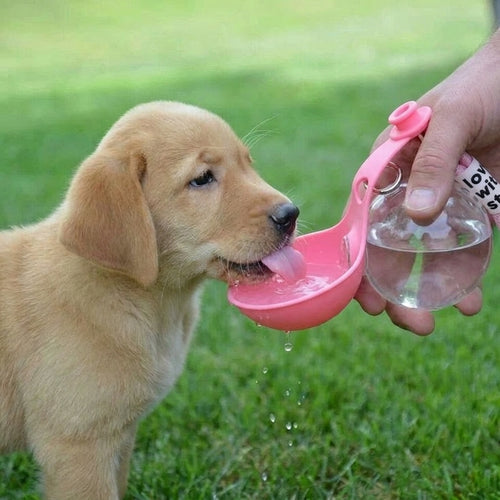 HydraPaw Classique — Gourde 2-en-1 portable | Bol pliable intégré pour chien