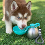 HydraPaw — La bouteille indispensable pour les balades de votre chien
