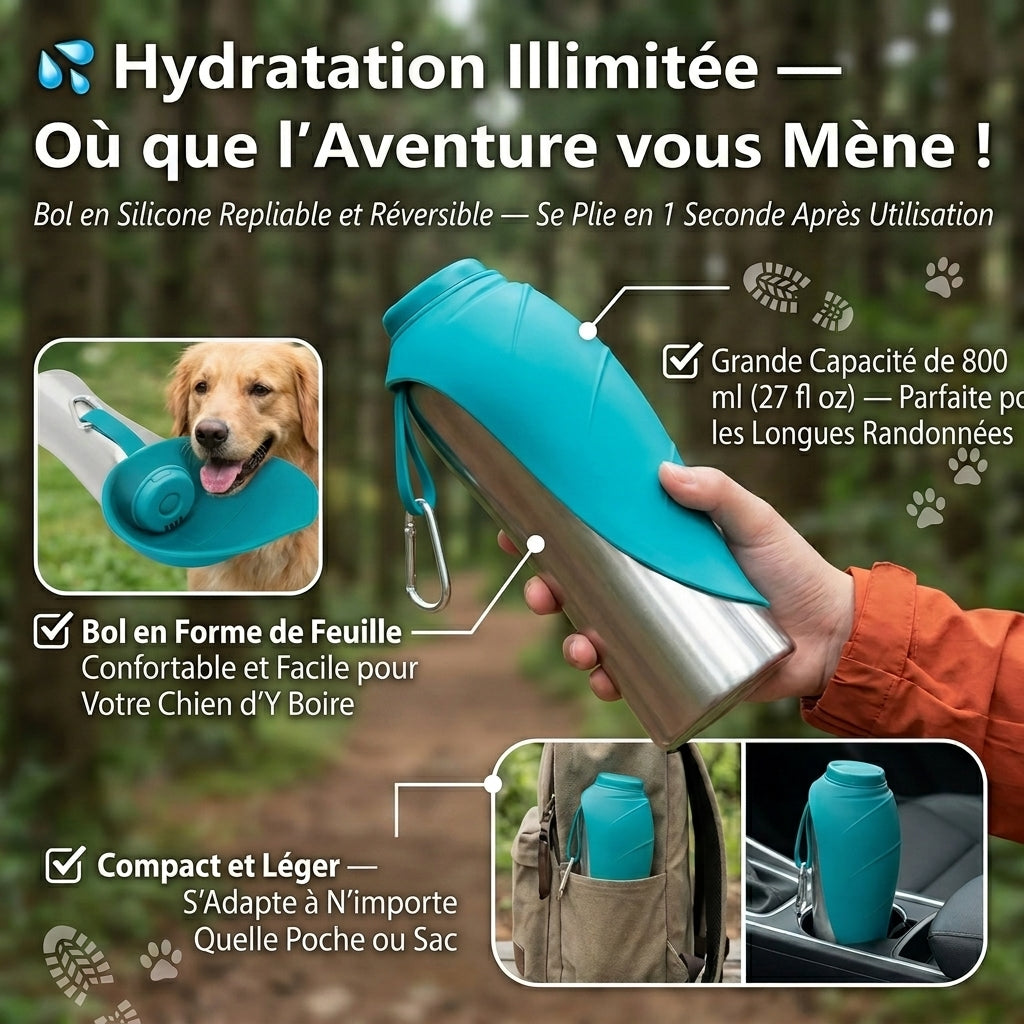 HydraPaw Grand Format | Bouteille 800ml avec bol réversible pour chien