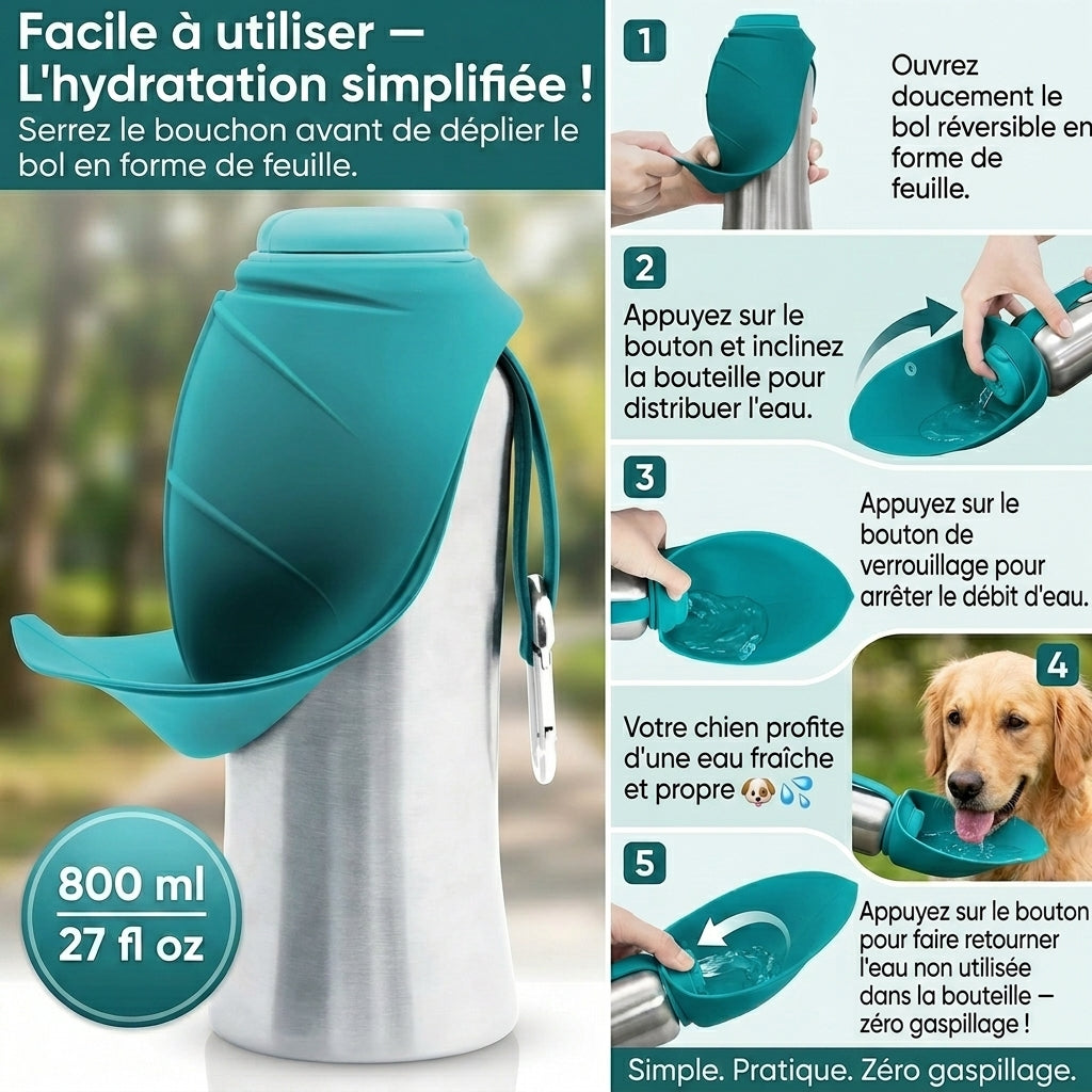 HydraPaw Grand Format | Bouteille 800ml avec bol réversible pour chien